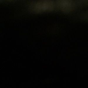 Meet your Posher, Dylan